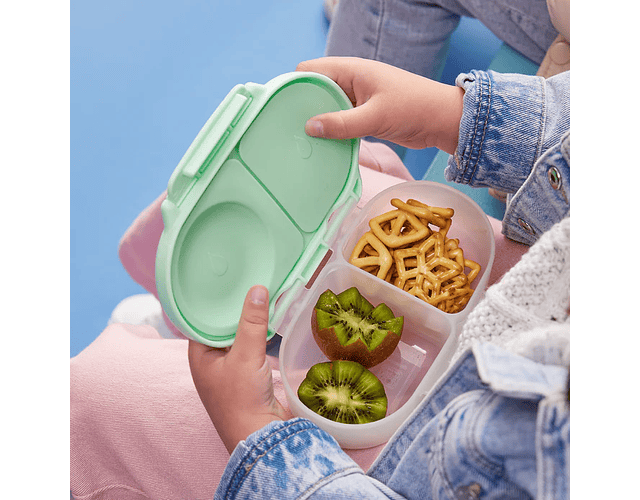 Snackbox - esmerald forest