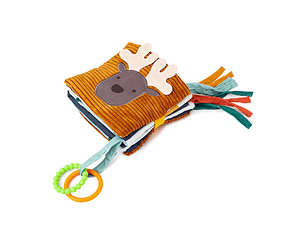 Libro de actividades Bosque