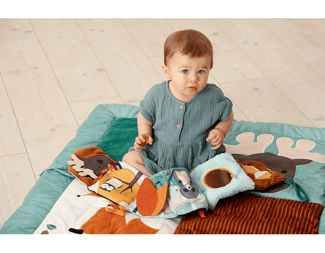 Libro de actividades Bosque