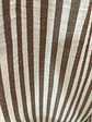 Calça pantalonas riscas médias castanhas  - Thumbnail 2