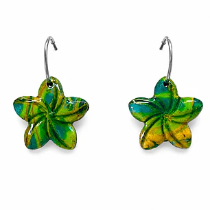 Brincos Estrela-Linha Padrão