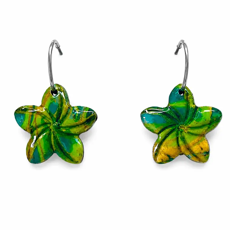 Brincos Estrela-Linha Padrão 1