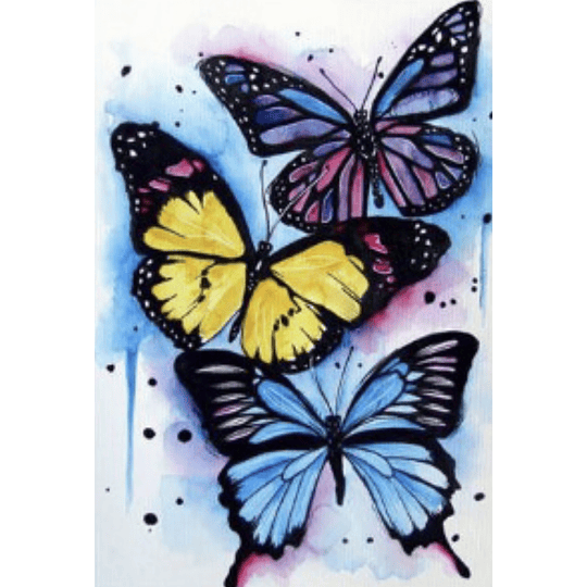 Kit Cuadro Pinta por Número, Mariposas 3