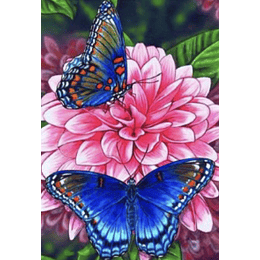 Kit Cuadro Pinta por Número, Mariposas 2