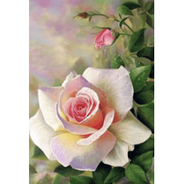Kit Cuadro Pinta por Número, Rosas