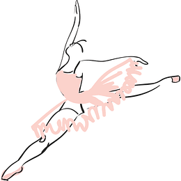 Polera Ballet 24
