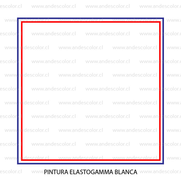 Pintura Elastomerica - Gamma Elastogamma Blanca Tineta 2