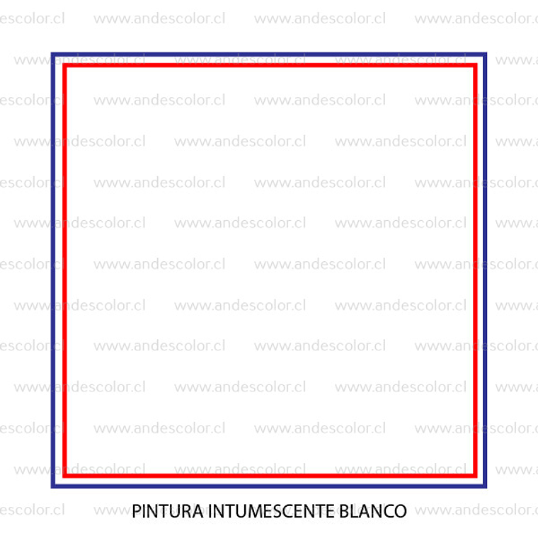Pintura - Gamma Pintura Intumescente Blanco Tineta 2