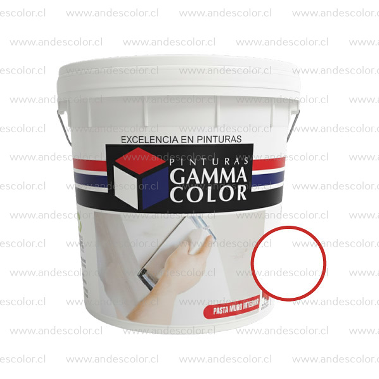 Pasta Muro - Gamma Pasta Muro Interior Crudo Tineta 1