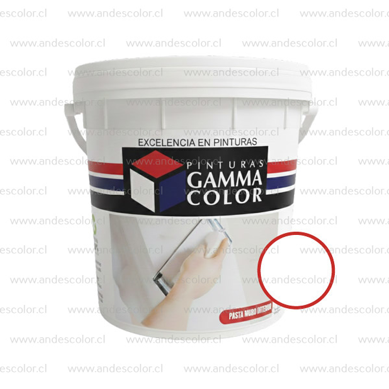 Pasta Muro - Gamma Pasta Muro Interior Crudo Galon 1