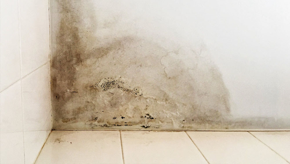 Bloqueador de Humedad e Impermeabilizantes