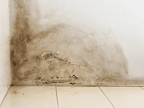 Bloqueador de Humedad e Impermeabilizantes