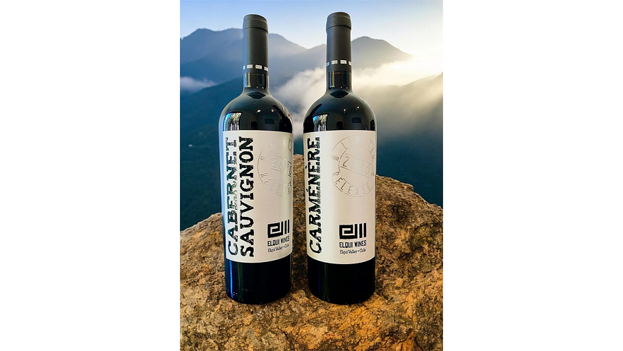  2 Vinos Premium Carmenere & Cabernet Sauvignon 2020 Elqui Wines 750 ml 2