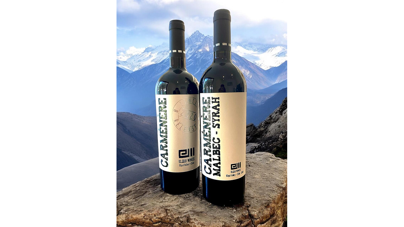 2 Vinos Premium Carmenere 2020 & Ensamblaje 2018 Elqui Wines 750 ml 2