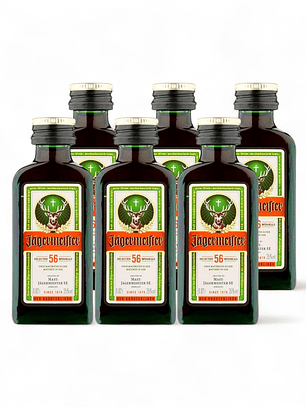  6  Miniaturas Jägermeister botella vidrio  