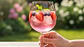 Gin Merle I'M Pink 37,5° 750cc OFERTA - Miniatura 3