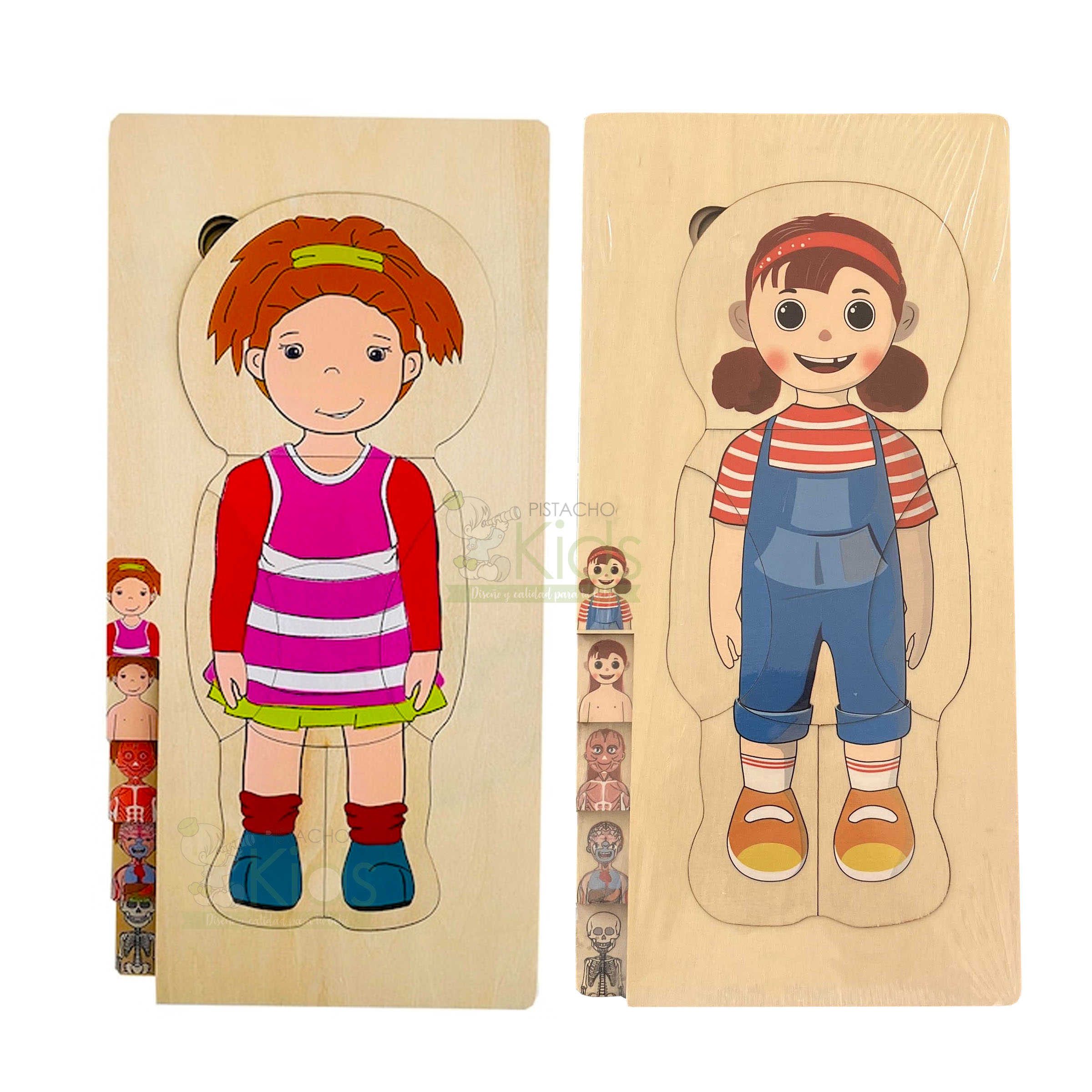 Puzzle anatómico por capas