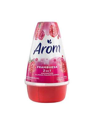 Desodorante Ambiental Cono Gel Arom Frambuesa 190gr