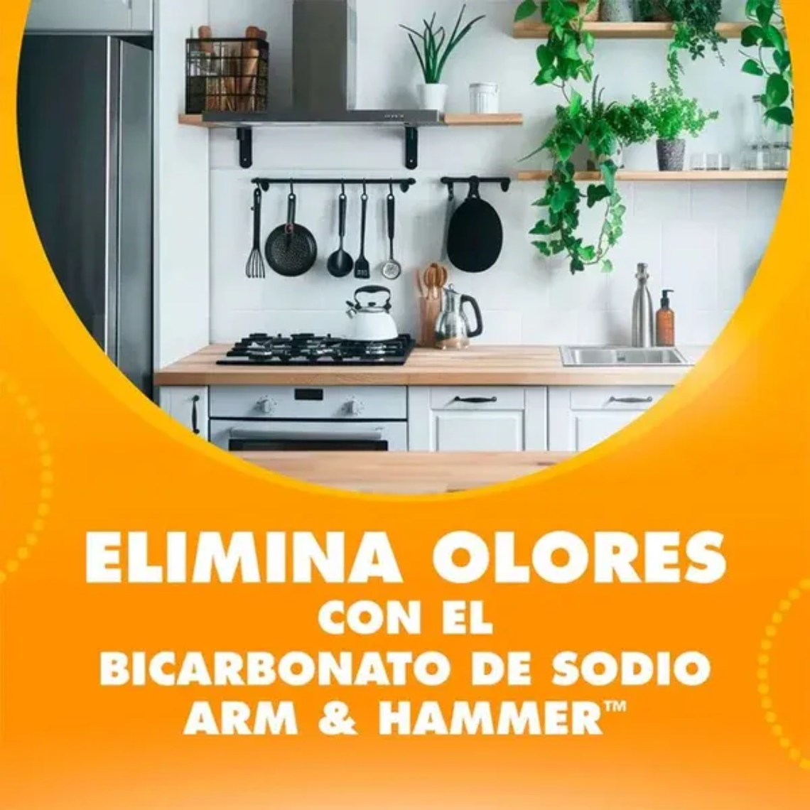Bicarbonato De Sodio Arm & Hammer 454g 2