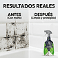 Astonish Eliminador Moho y Hongos Gatillo 750 Ml Antihongos - Miniatura 3