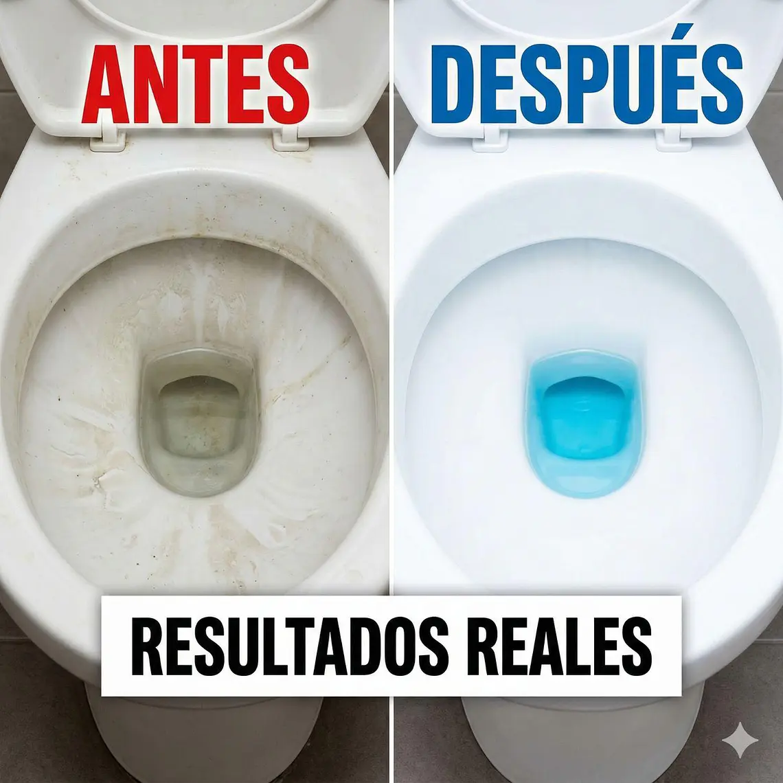 Pastilla Estanque Inodoro Azul Pato Purific Antisarro Limpieza Pack 2 3