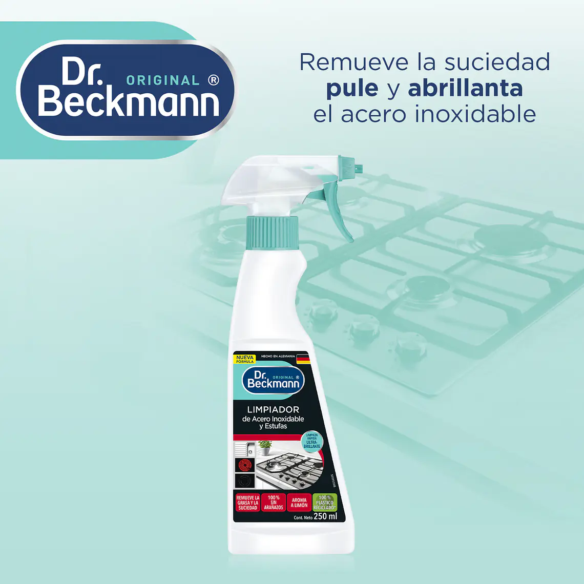 Limpiador Acero Inoxidable Dr. Beckmann 250ml 2