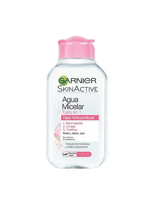 Desmaquillante Agua Micelar Garnier Todo En 1 100ml