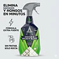 Astonish Eliminador Moho y Hongos Gatillo 750 Ml Antihongos - Miniatura 2