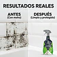 Astonish Eliminador Moho y Hongos Gatillo 750 Ml Antihongos - Miniatura 5