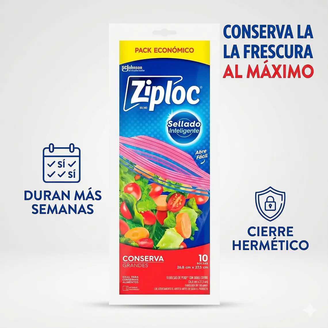 Bolsas Ziploc Grandes 10 Un Para Conservar 2