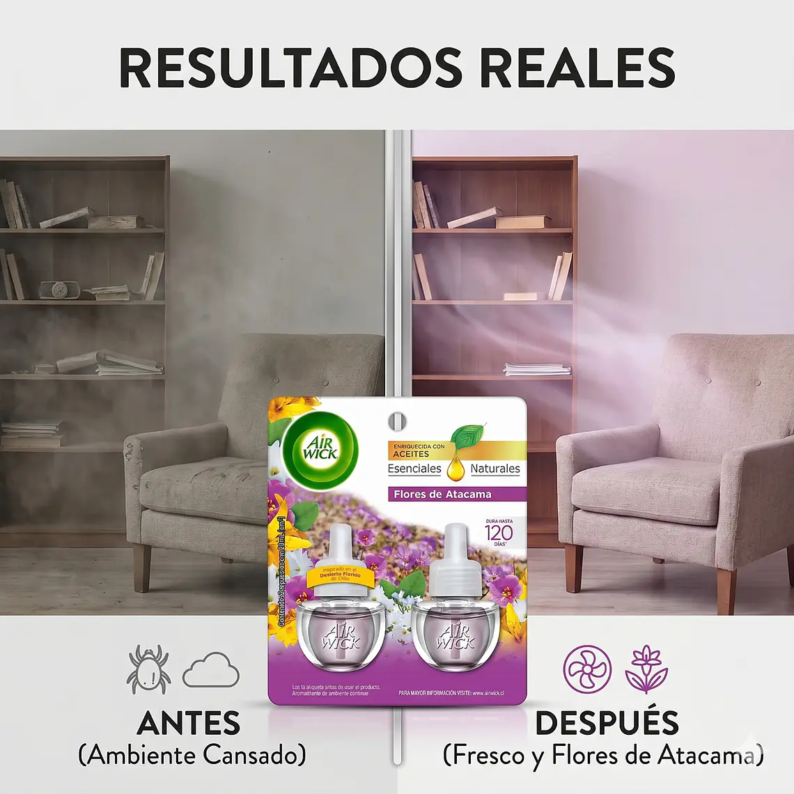 Recarga Air Wick Flores de Atacama 21ml - Pack 2 Unid. 6