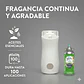 Aromatizante Glade Mañana De Campo (difusor + Repuesto) - Miniatura 2