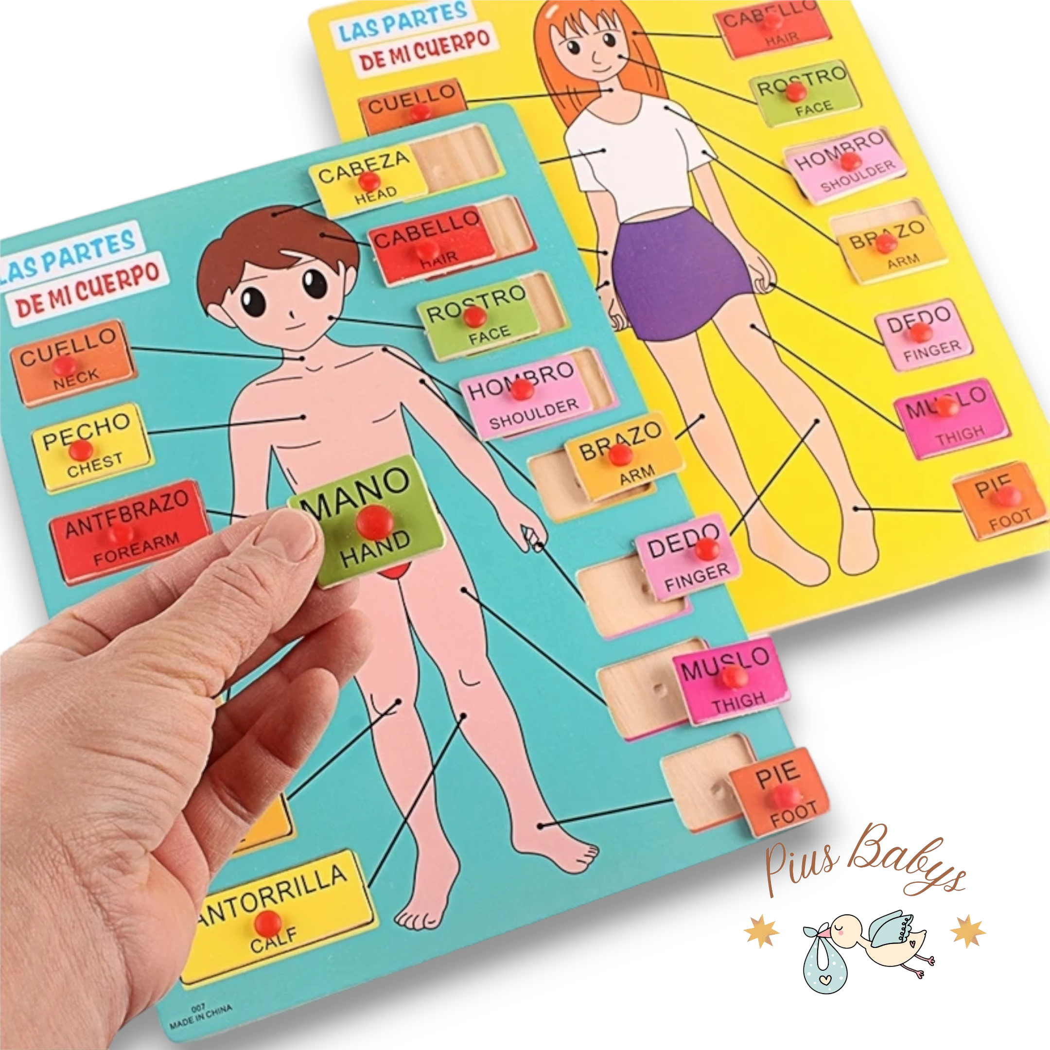 Partes del cuerpo humano - 15 Piezas de Madera - Montessori 2