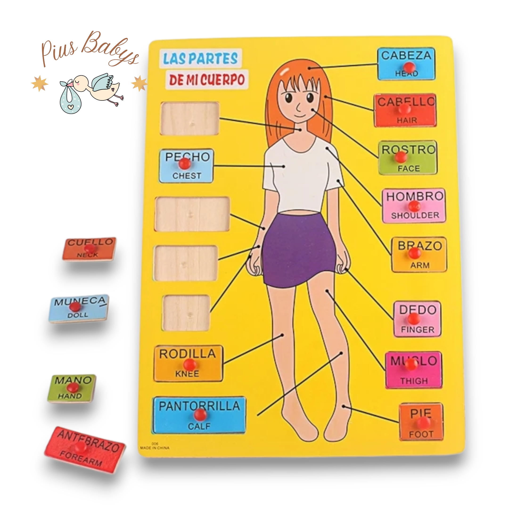 Partes del cuerpo humano - 15 Piezas de Madera - Montessori 3