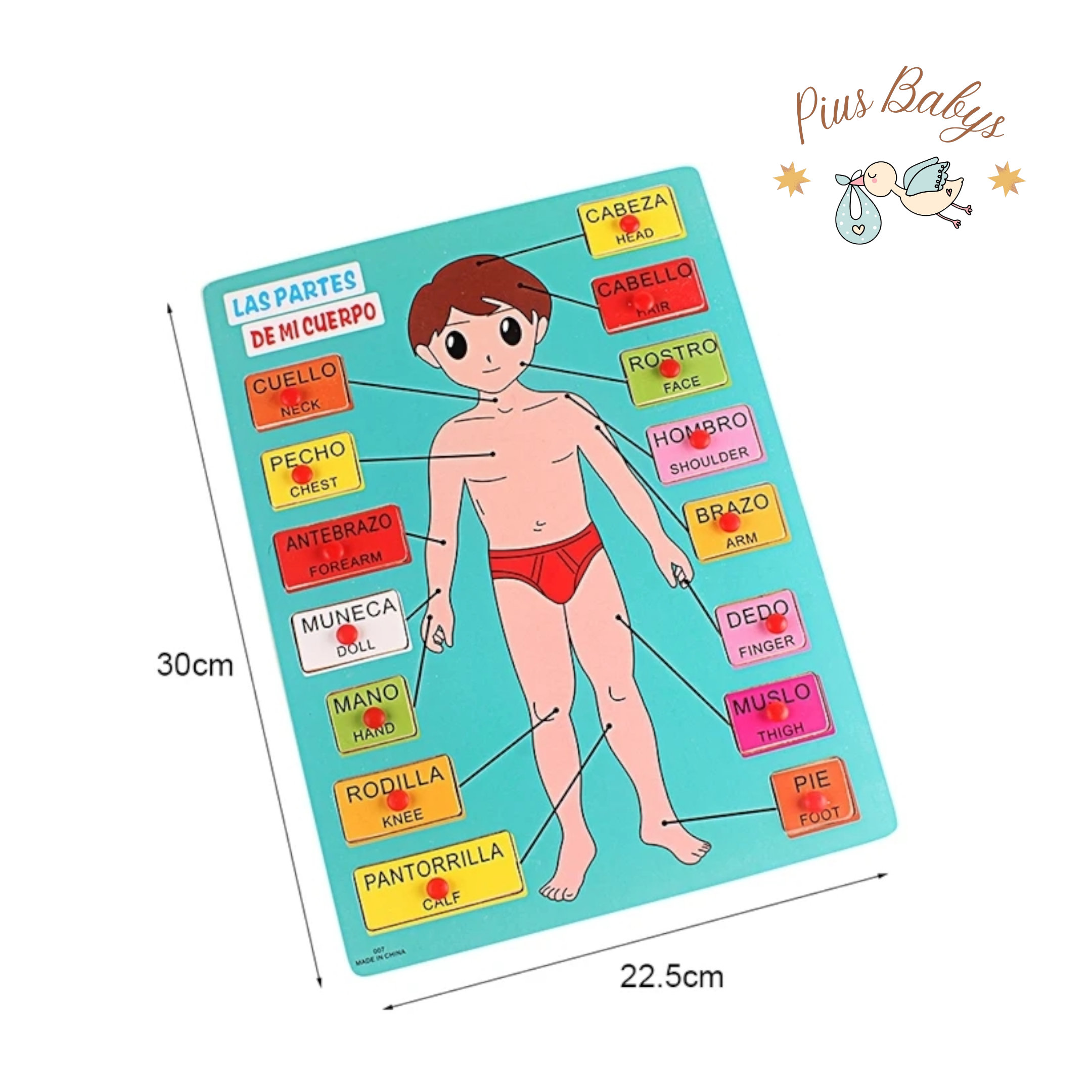 Partes del cuerpo humano - 15 Piezas de Madera - Montessori 4