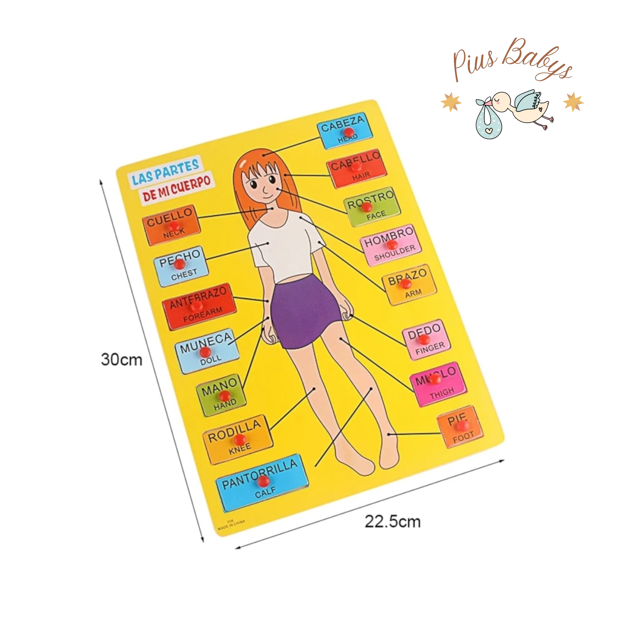 Partes del cuerpo humano - 15 Piezas de Madera - Montessori 5