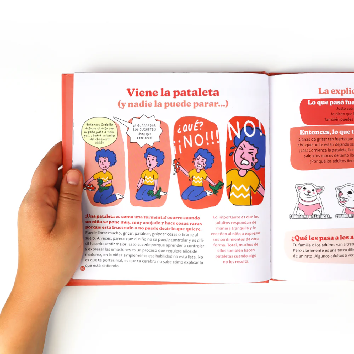 Libro Mis Primeros Problemas - Ayuda para entender la frustración y las dificultades - para niños desde 4 años 5
