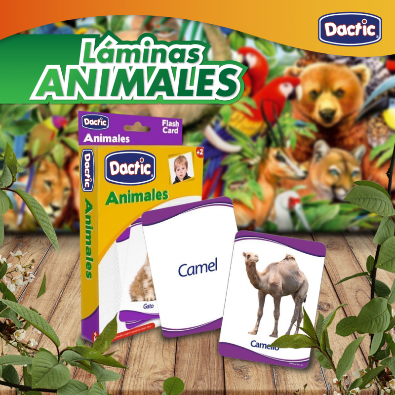 Láminas Animales 4