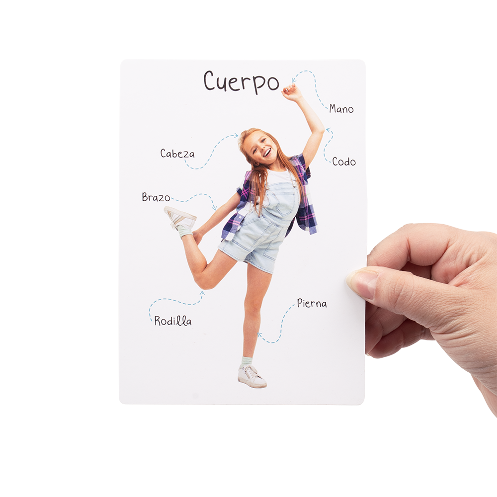 Lámina Partes del Cuerpo 3
