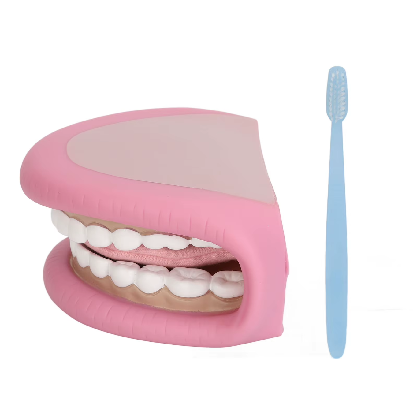 Marioneta de mano - Boca Gigante JUMBO - Odontología Dental 2
