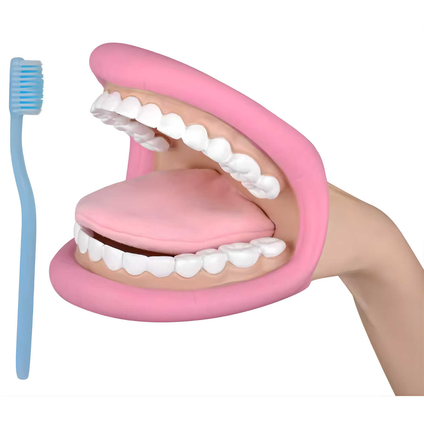 Marioneta de mano - Boca Gigante JUMBO - Odontología Dental 1