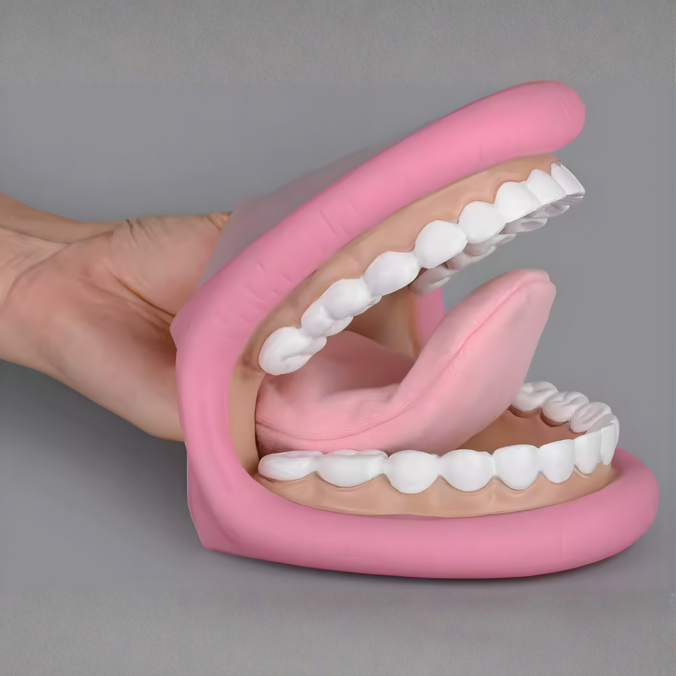Marioneta de mano - Boca Gigante JUMBO - Odontología Dental 5