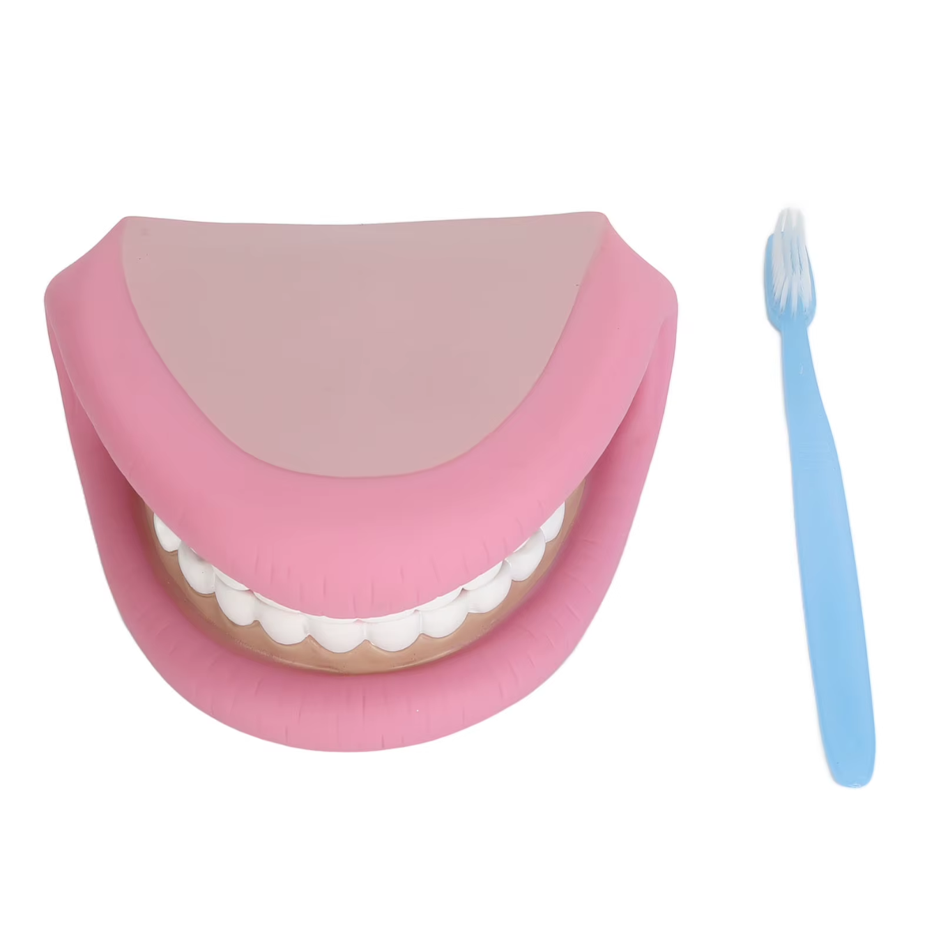 Marioneta de mano - Boca Gigante JUMBO - Odontología Dental 8