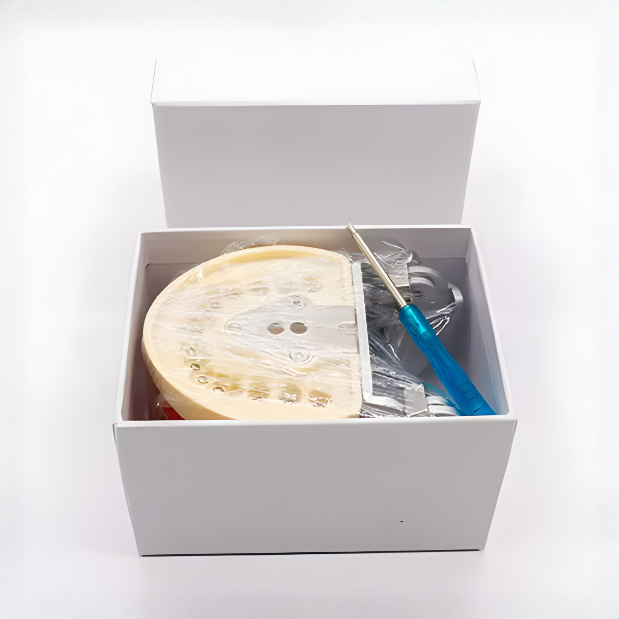 Modelo Dental de Enseñanza 32 Dientes – Typodont Educativo 6