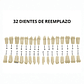 Modelo Dental de Enseñanza 32 Dientes – Typodont Educativo - Miniatura 5