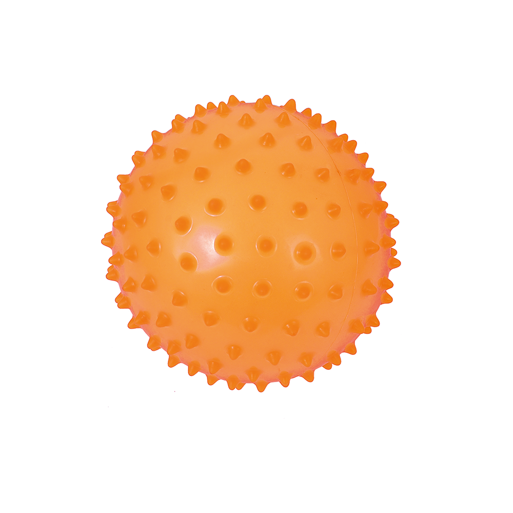 Pelota Sensorial Transparente 15 cms. 2