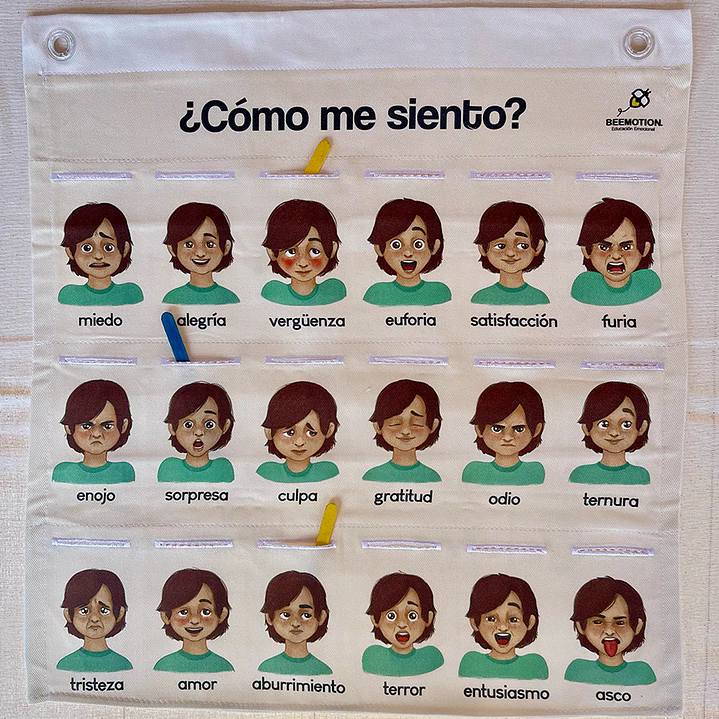 Bitácora Emocional - Identificación de las emociones 1