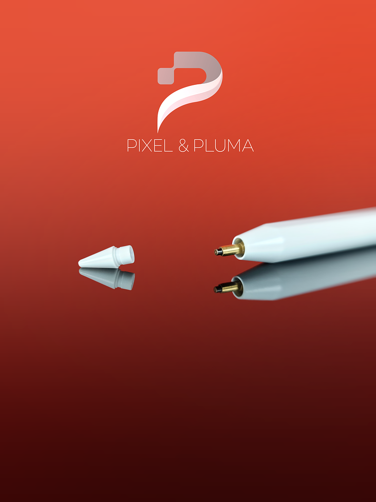 Lápiz Óptico USB-C para iPad 5