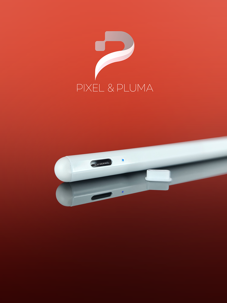 Lápiz Óptico USB-C para iPad 2