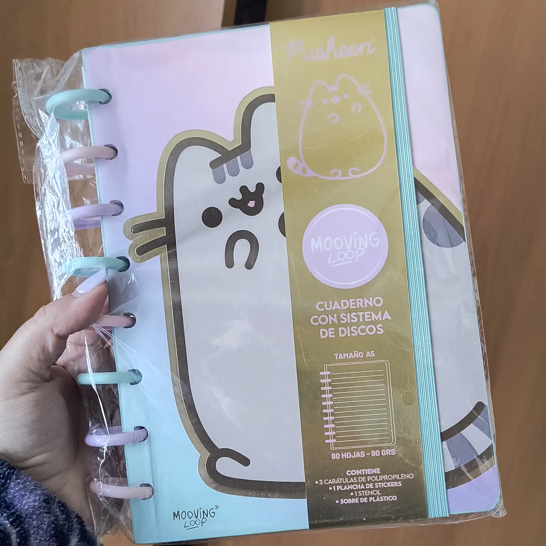 Mooving - Cuaderno de Discos Pusheen 1